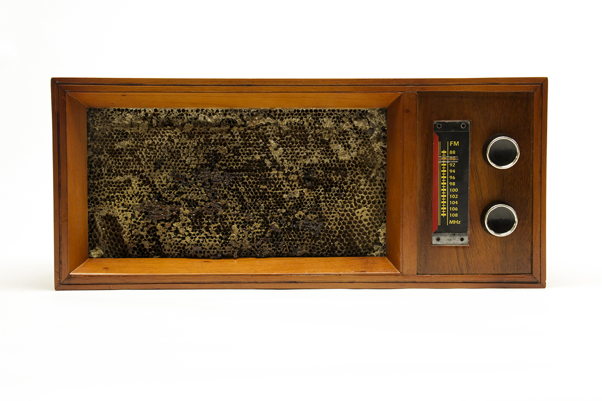 DIAL. Ensamblaje de radio, panal de abejas e interferencia radial